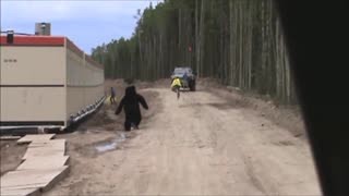 Guy In Bear Costume Scares Bejeezus Out Of Construction Worker