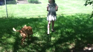 Dog hilariously chases bubbles