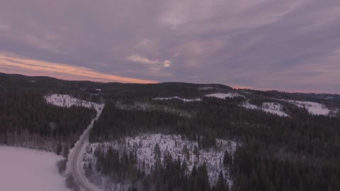 Aerial Shot Of Snowy Forest