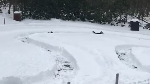 Winter Race Track Carved Into Snow for Doggies