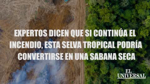 Conoce algunas de las consecuencias que podría traer el incendio del Amazonas