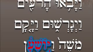 Hebrew word of the day to save ישׁע #shorts #hebrew