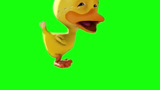 Crying Duck Meme | Green Screen