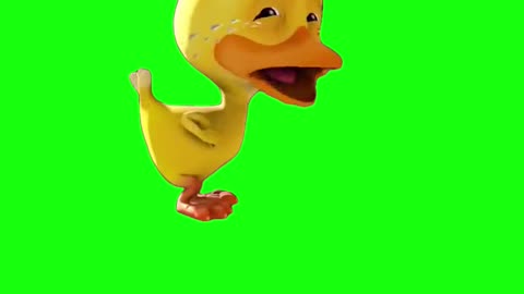 Crying Duck Meme | Green Screen