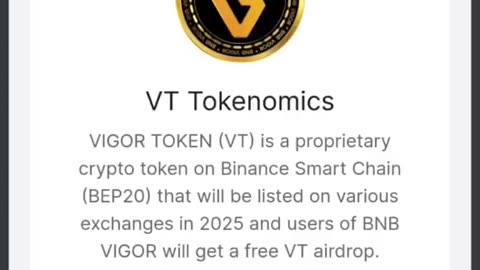 BNB VIGOR TOKEN