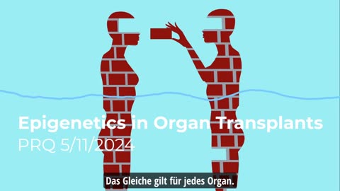 Transplantation: Epigenetik bei Organtransplantationen