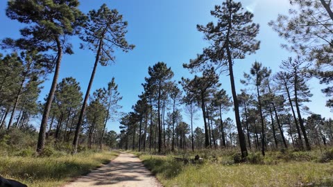 E-BIKE RIDE pela MS (Lagoa de Albufeira) e-st 900 S05E09 21th APRIL 2K24 PART 10