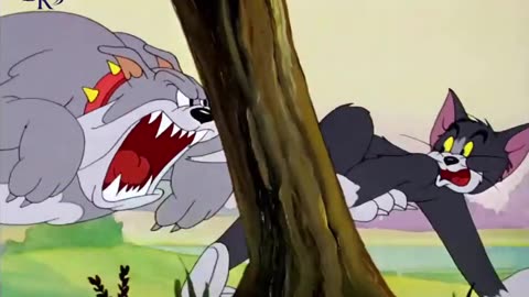 TOM AND JERRY VIDEOS