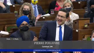 Poilievre turns up the heat on Chrystia Freeland