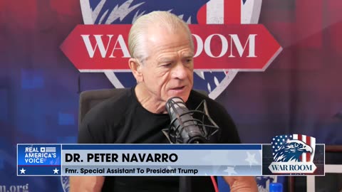 Dr. Navarro Explains The Globalists' Vision Of Importing As Much Labor Across The Border