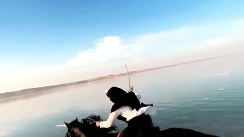 Funny animal horse ridding by a beautifull girl♥️