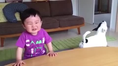 baby with funny lovely pet