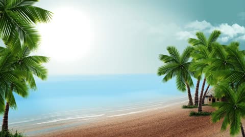 Beach scenery coconut tree