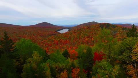 This is Fall Foliage in Groton Vermont - October 8th - Green Mountain Drone