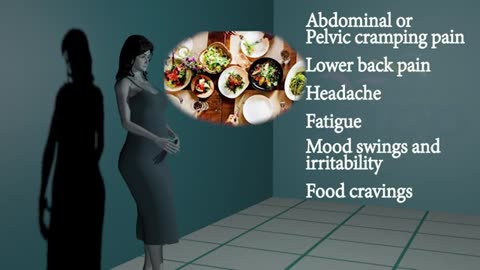 Menstruation period cycle fertilization