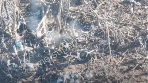 🚀🇺🇦 Ukraine Russia War | Ukrainian Kamikaze Drone Targets Russians near Verbove | RCF