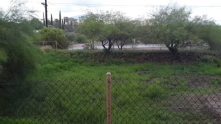 Tucson Monsoon 2022