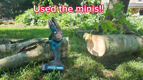 How to remove a tree with mini chainsaws