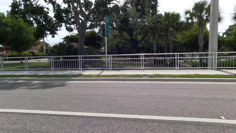 (00199) Part Two (P) - Venice, Florida. Sightseeing America!