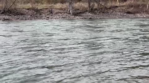 Clark Fork River in Missoula, Montana