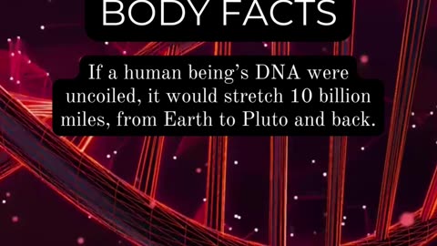 Revealing Human Body Secrets: Intriguing Facts