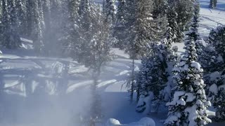 Dude Ditches Sled to Avoid Tree