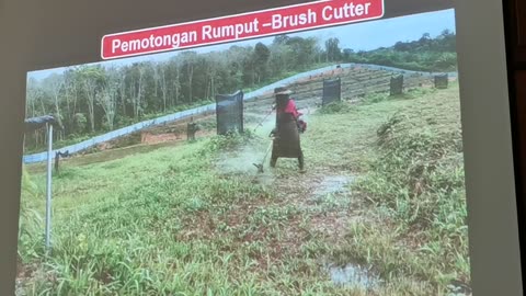 P10 Pembangunan Tanaman Durian, Mohd Ali Hanafiah, @Raub, 4 Jun 2024