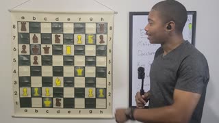 Former World Chess Champion Crushed The Sicilian Defense in Chess!