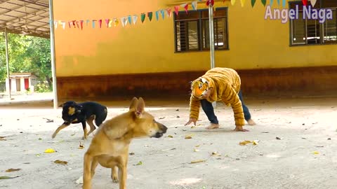 Dog ran for life from tiger head Prank