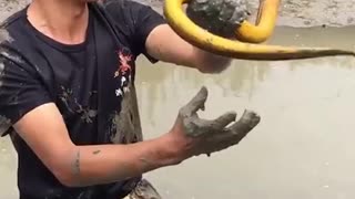 #Shorts​ Unique Fishing 🧐 Catching Yellow Monster Eel Fish From Under Deep Mud #9