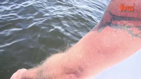 Caught On Camera: Fisherman Helps Stingray Give Birth