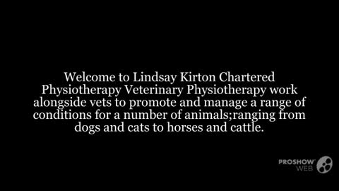 Dog physiotherapy leeds