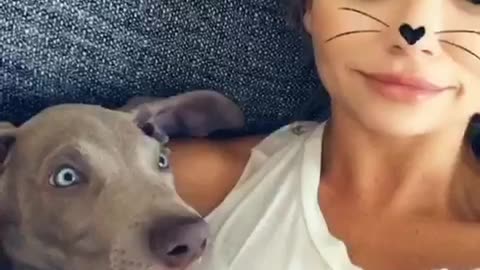 Grey dog sleeping with girl cheetah ears wakes up surprised