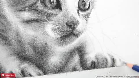 HOW TO DRAW A CAT | REALISTIC CAT | PORTRAIT SKETCH OF A CAT