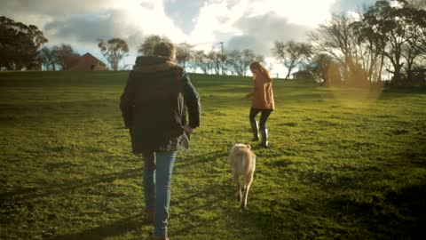 Young Couple With A Labrador