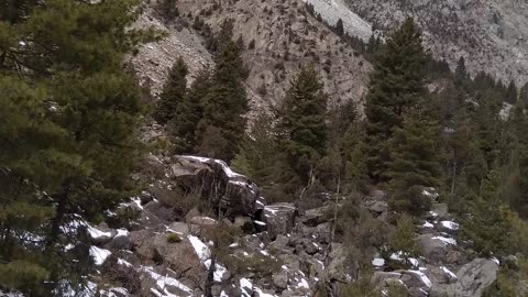 Enjoying Snow In Meadows