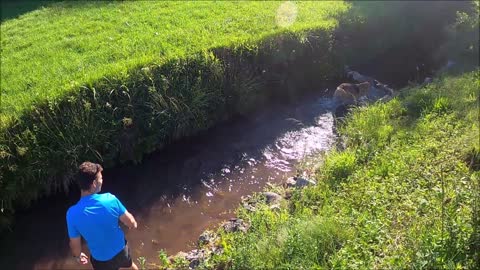 Training a dog to fetch