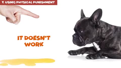 12 Ways You Harm Your Dogs, You don't Know
