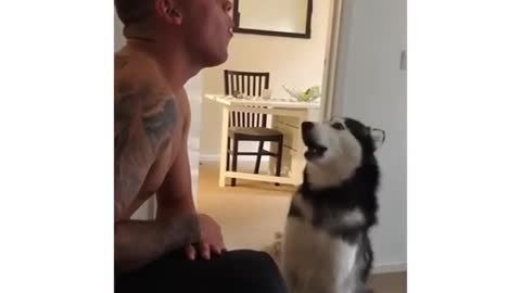 Teaching a dog how to bark