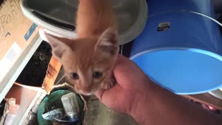 a helping hand for a little friend