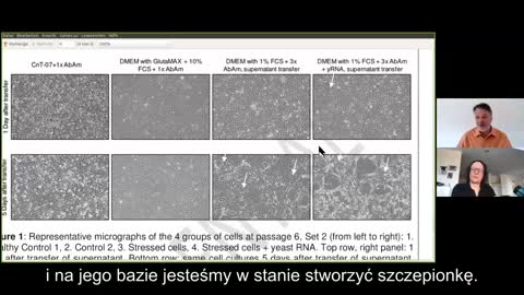 Efekt cytopatyczny (CPE) - Eksperyment kontrolny – dr Stefan Lanka [napisy PL]