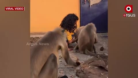 Viral Video: Love between Young Girl and Monkey