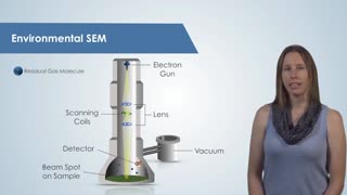 Introduction to the Scanning Electron Microscope (SEM)