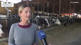 Italian farm making cheap fuel from cow waste.