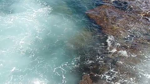 rocks beach nice waves in Lebanon