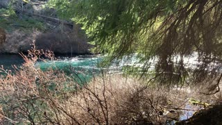 Soupy Mud Section & Incredibly Rich Color Section – Metolius River – Central Oregon