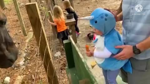 You can't stop laughing | Funny moment At The Zoo