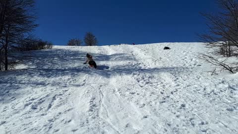 Woman sleds down big slope and yells the entire way down