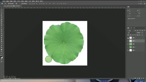 Modeling Of Lotus Leaf