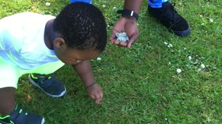 Picking flowers